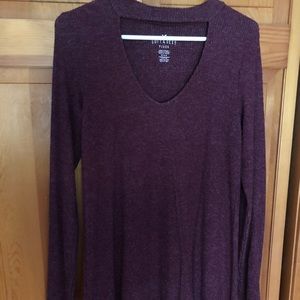American Eagle long sleeved dress